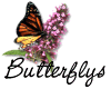 butterflytn[1].gif (4487 bytes)